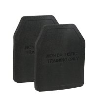 Templars Gear 2er Set Dummy Plate Trainingsplatten...