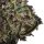 Helikon Tex Leaf Ghillie Set - US woodland