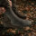 M-Tac Taktische Socken Army