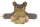 Templars Gear CIBV Plate Carrier Cataphract Gen. 2